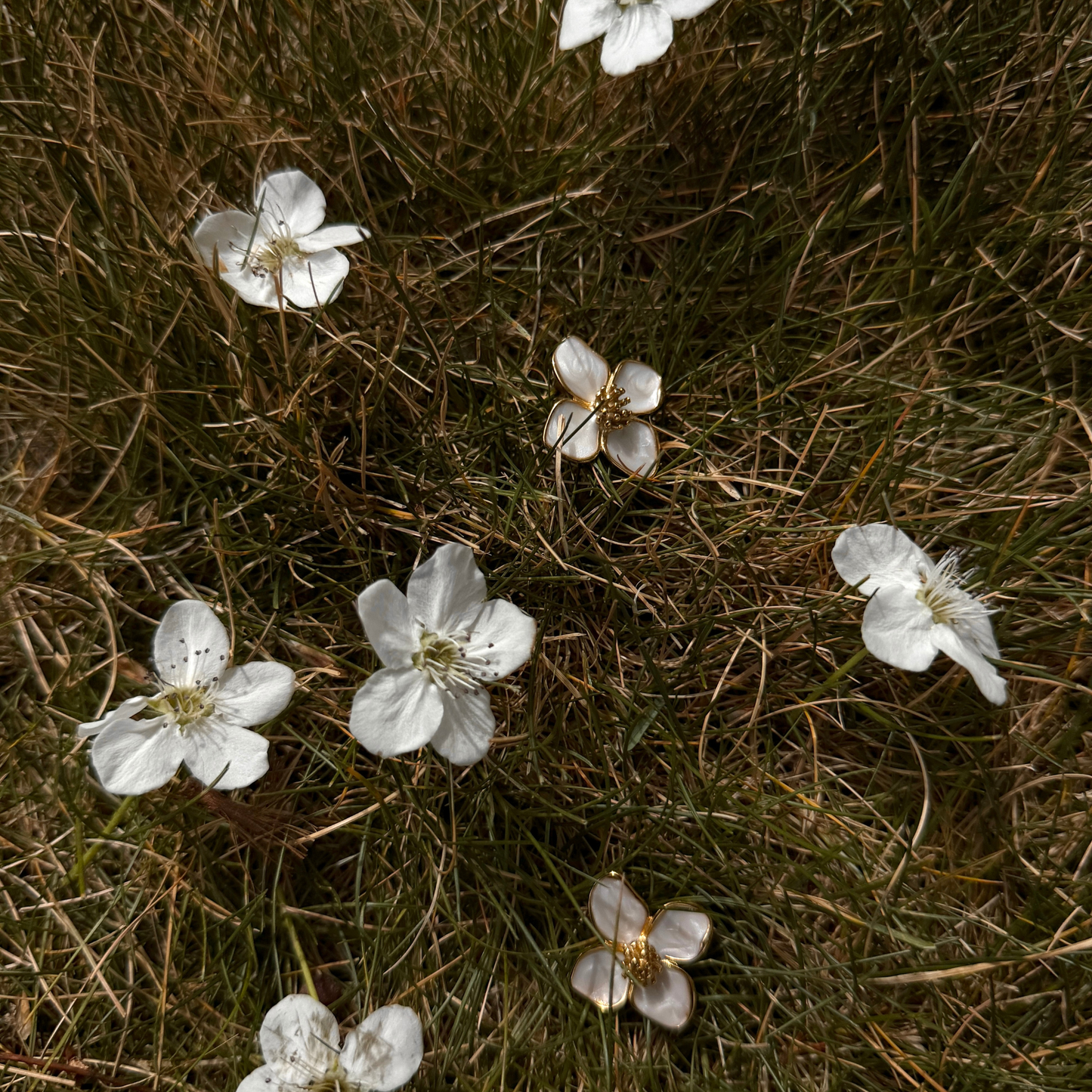 Bloom Earrings